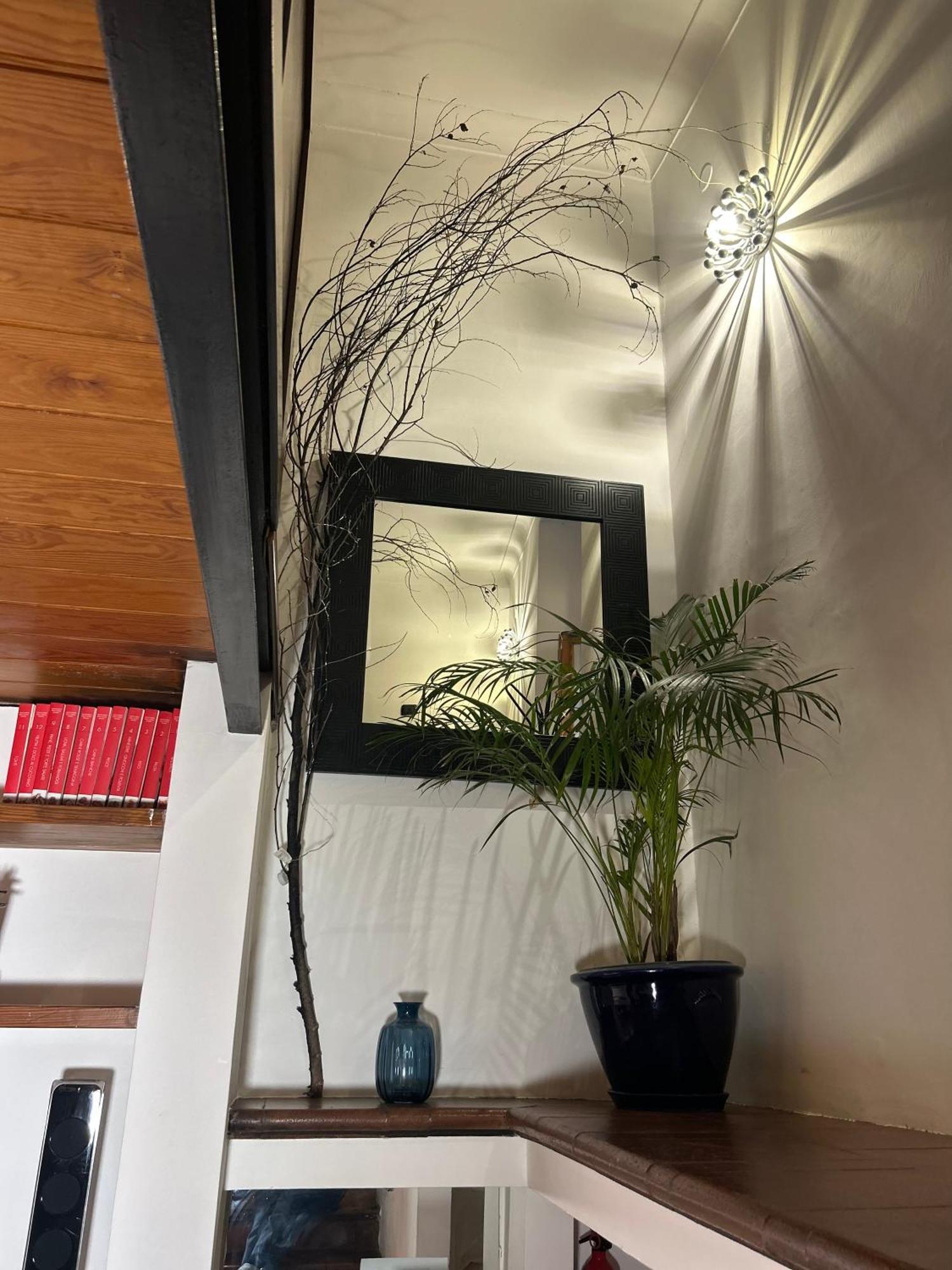 Garden House Trastevere روما المظهر الخارجي الصورة