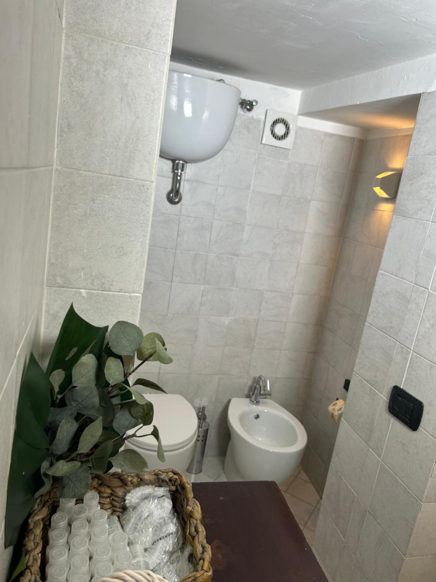 Garden House Trastevere روما المظهر الخارجي الصورة